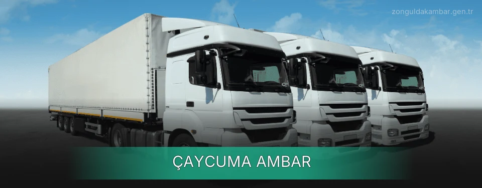 Çaycuma Ambar Kargo