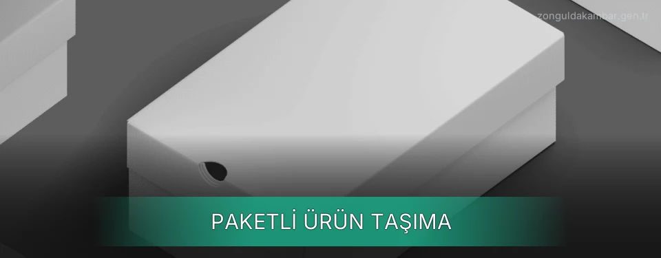 Paketli Ürün Taşıma Paketli Ürün Taşıma
