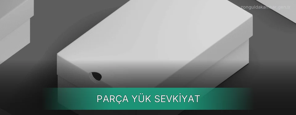 Zonguldak Parça Yük Ambar Firmaları